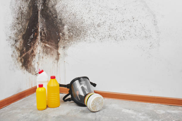 Best Mold Testing  in Valencia, NM