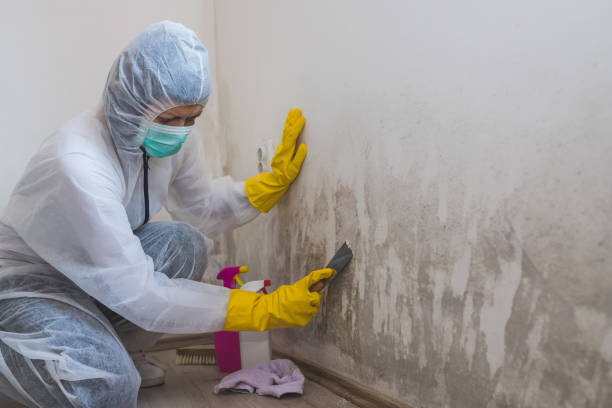 Best Crawl Space Mold Removal  in Valencia, NM