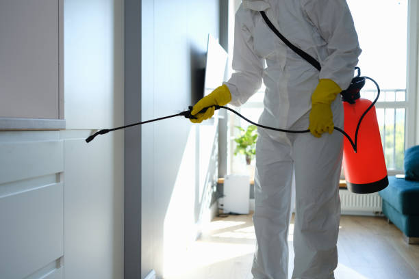 Best Certified Mold Removal  in Valencia, NM